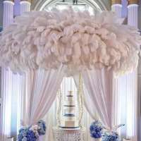 IFG wholesale 15-75cm  white ostrich feather fabric wedding